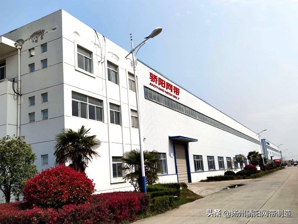 网带链条输送机,不锈钢输送带网带