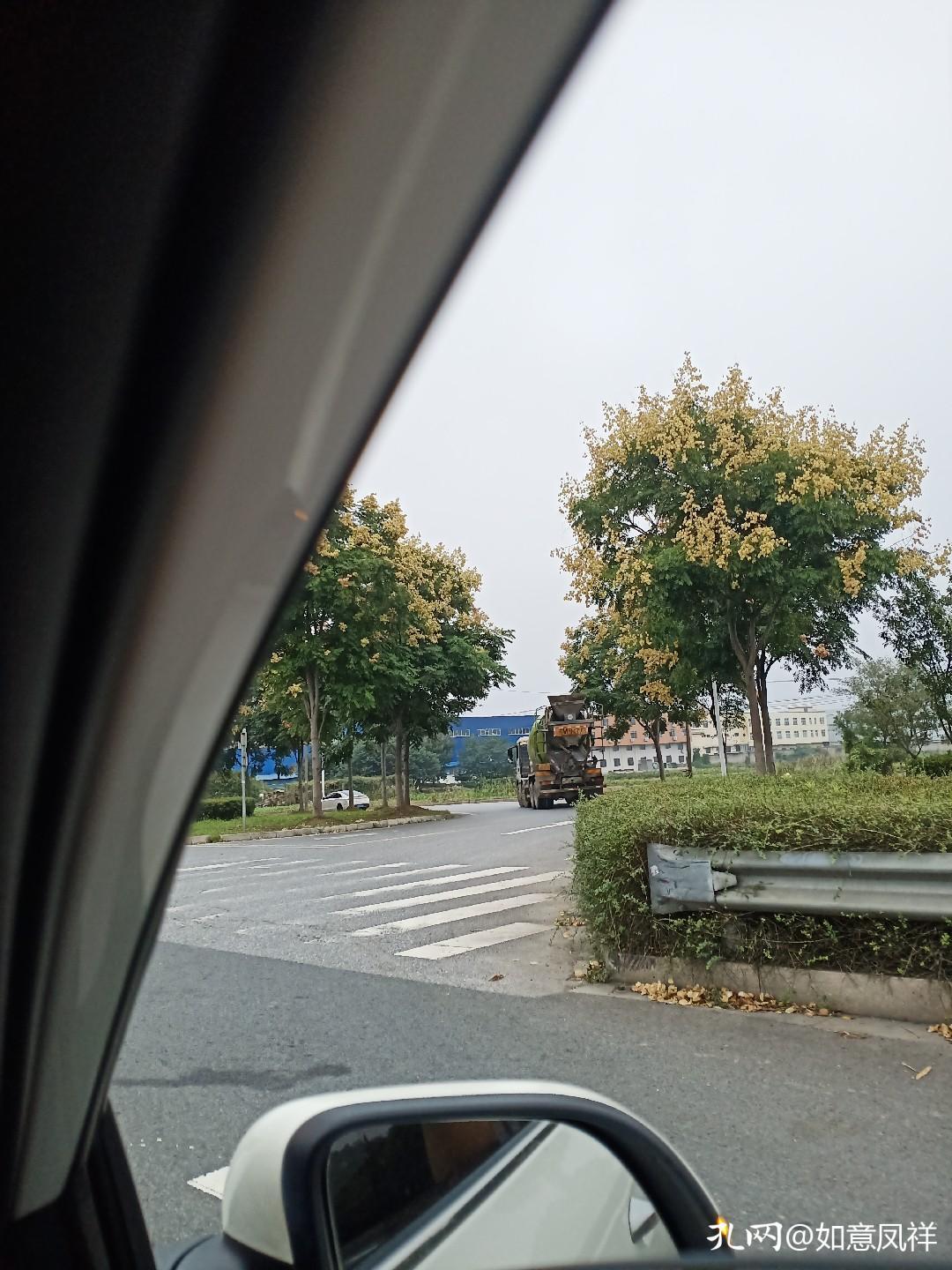 去除书籍味道,怎样去除书本异味