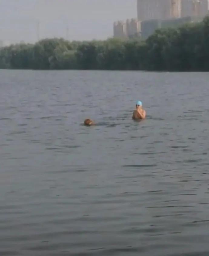 催卖家发货的幽默句子,怎么幽默的催商家发货