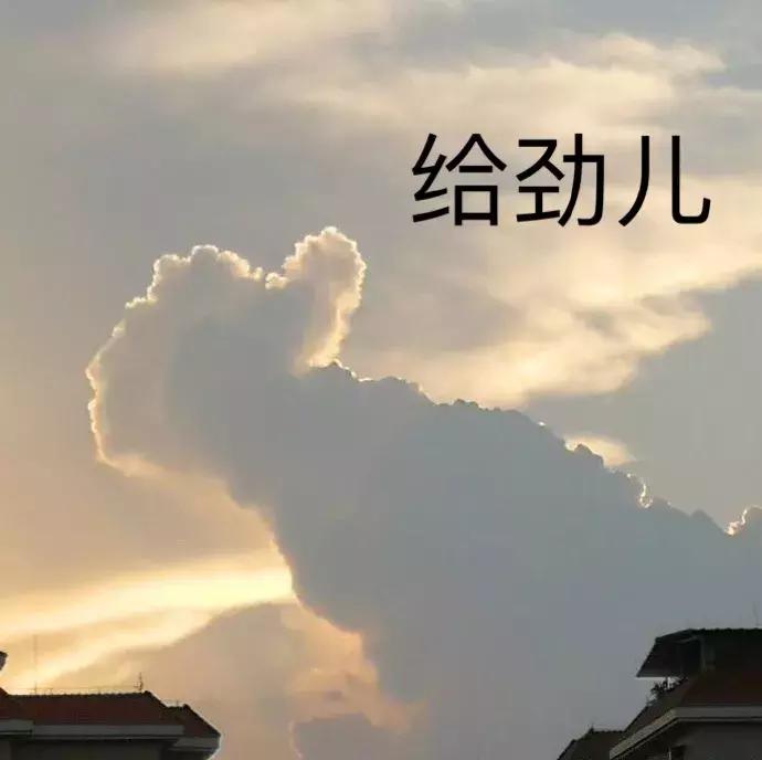 售卖假冒名牌服装一万元,卖了价值280元假冒品牌产品