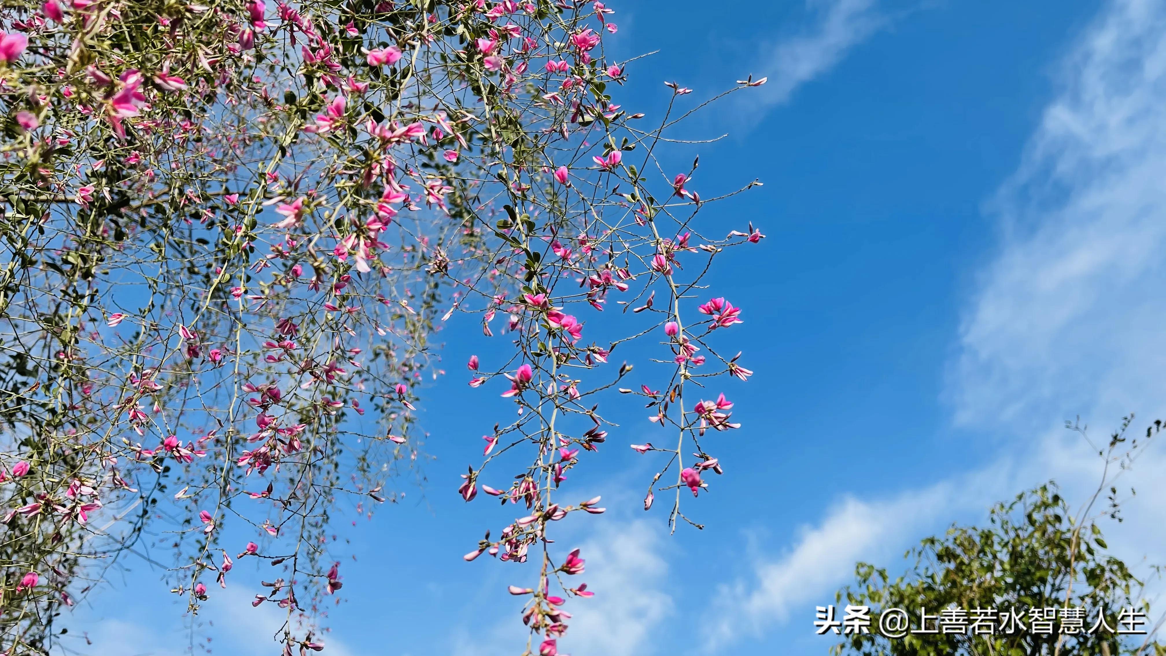 福州湖顶山观景平台风景,湖顶山观景台福州又一处登山美景