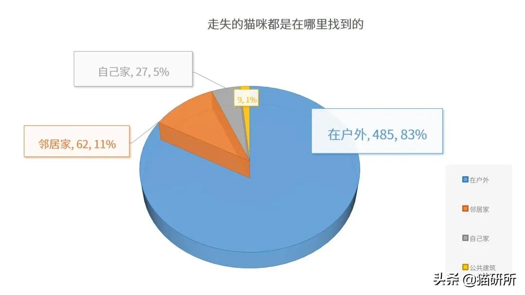 养猫怎么防止猫咪跑丢,猫咪走丢3招快速找回