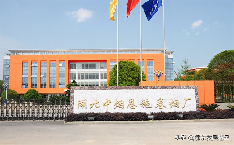湖北中烟六大卷烟厂介绍,湖北中烟公司排名