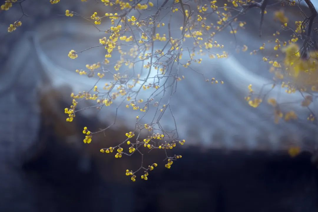 鼻痒眼痒耳痒的治疗,鼻过敏特别痒治疗方法