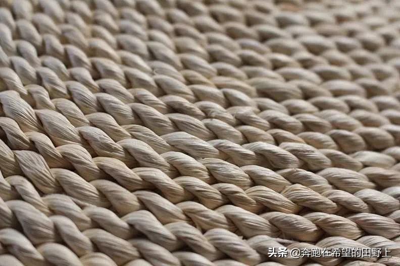 水烛香蒲农村叫什么,水烛香蒲别名