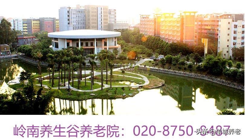 广州市天河区岭南养生谷养老院,广州颐寿养老院一览表