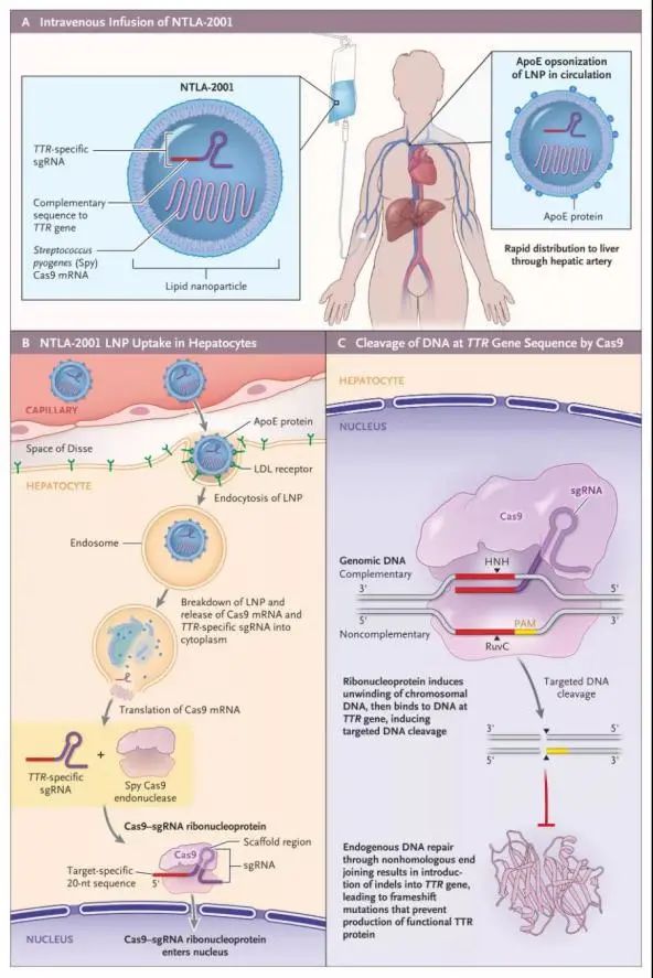 祖冲之号量子云平台,祖冲之号量子计算云平台油管评论
