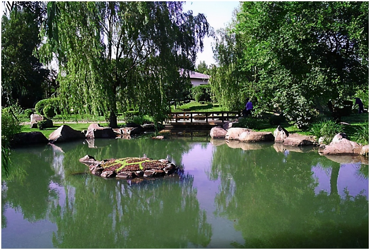 哈尔滨太阳岛火灾,哈尔滨太阳岛雪景