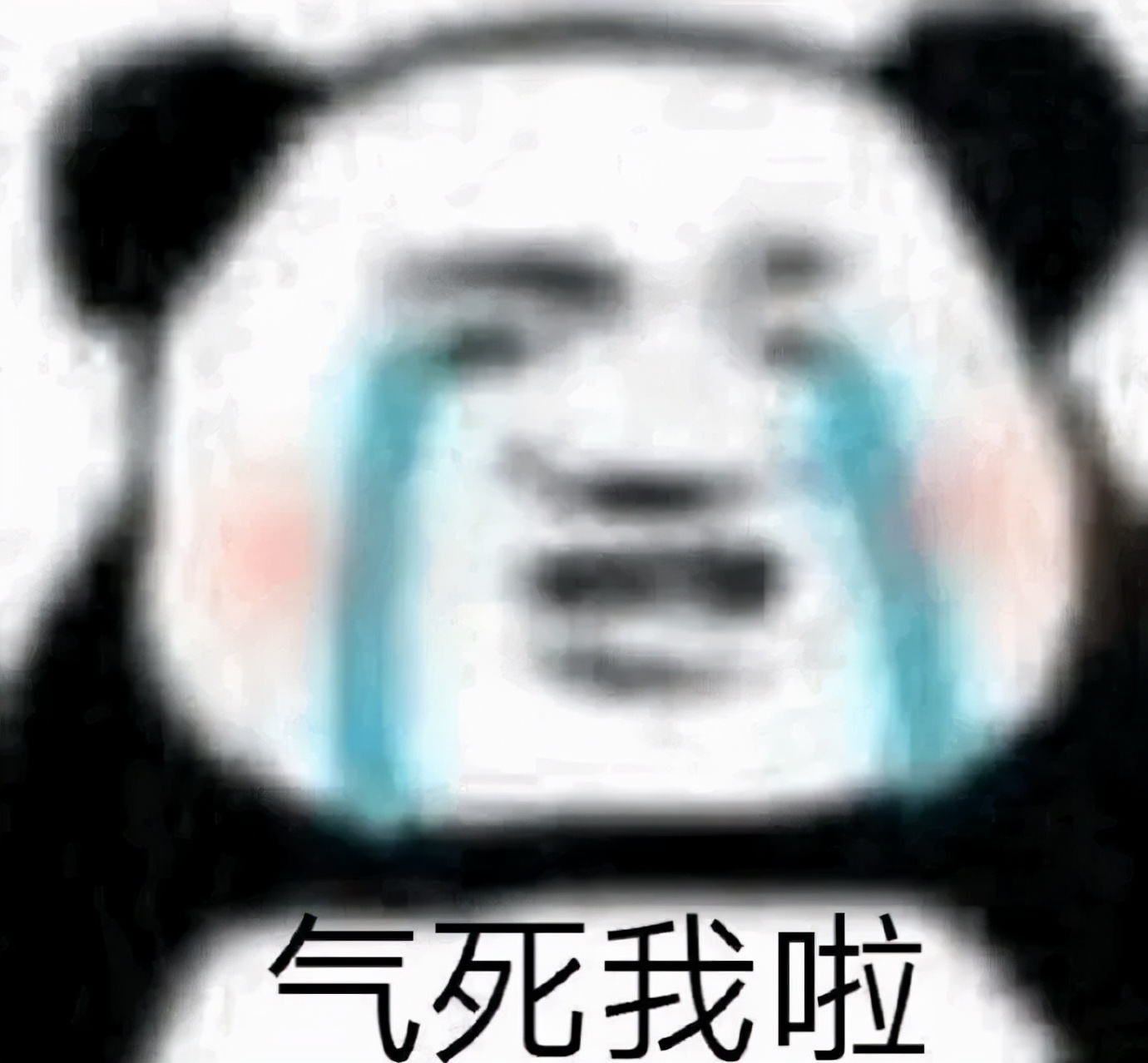 在宿舍养猫很后悔,为什么不能在宿舍养猫