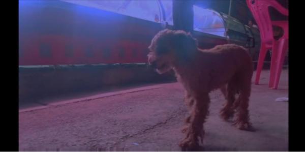 浙理工服装毕业设计展,浙江理工大学服装学院毕业展2018