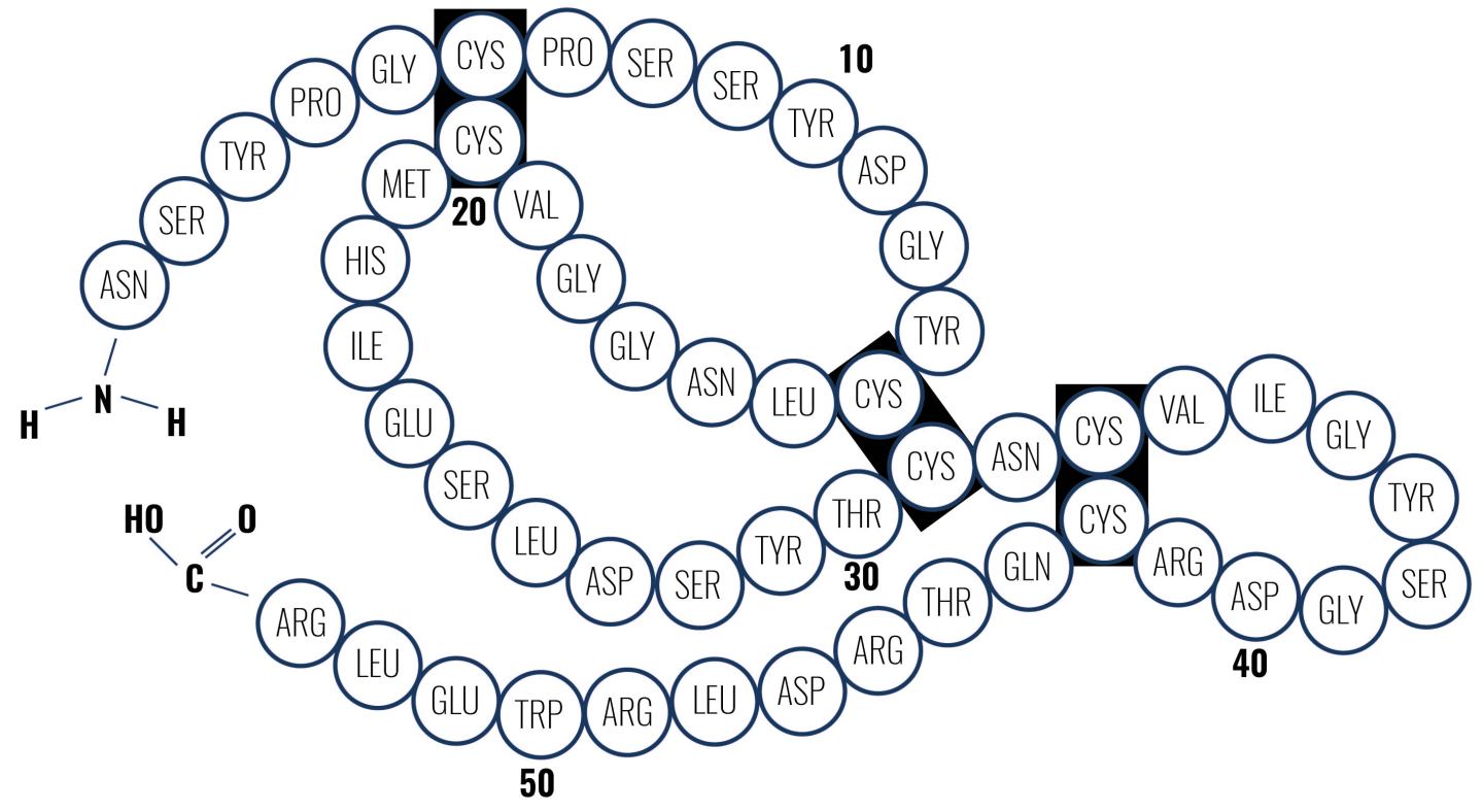 egf生长因子科普视频,表皮生长因子egfr野生型