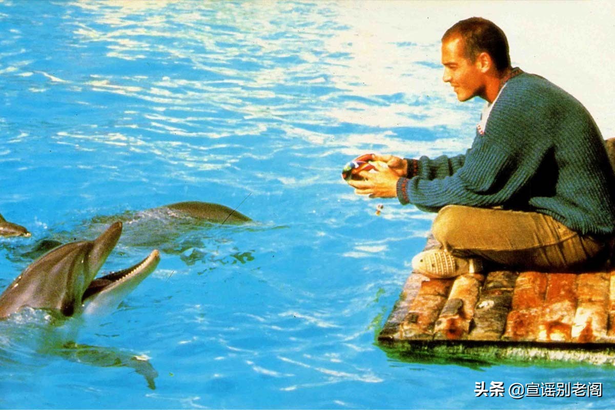 夏日七夕，看王菲+郑秀文+小李子...海滩电影的浪漫小确幸