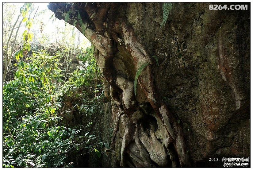 黄果树景区天星桥有没有必要去,贵州黄果树天星桥景区人山人海