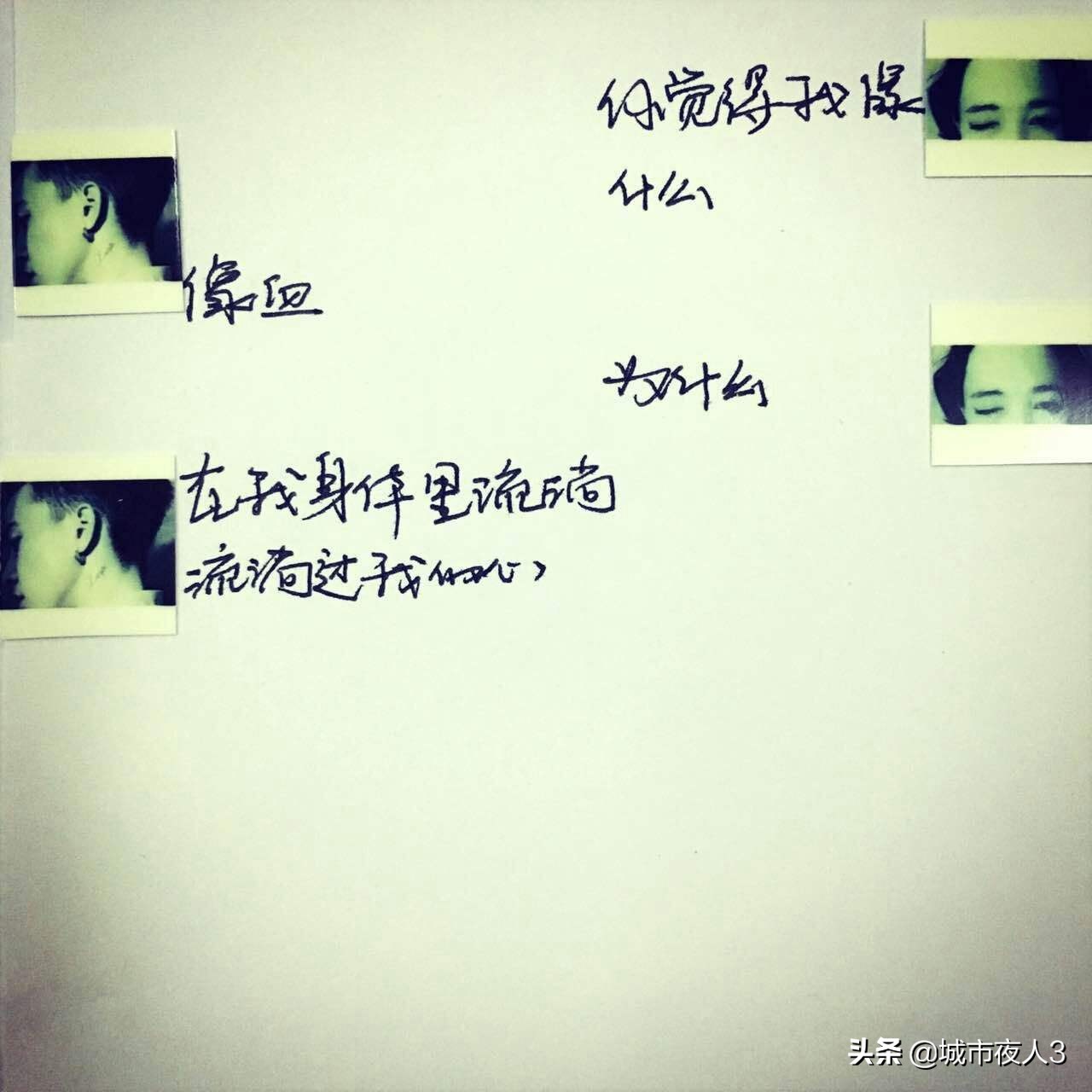 爱情问答视频模板,爱情问题一问一答