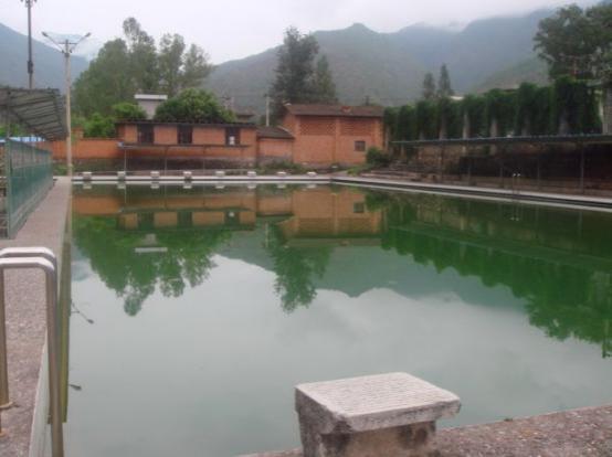 泳池水为什么会变成乳白色,泳池水变色怎么解决