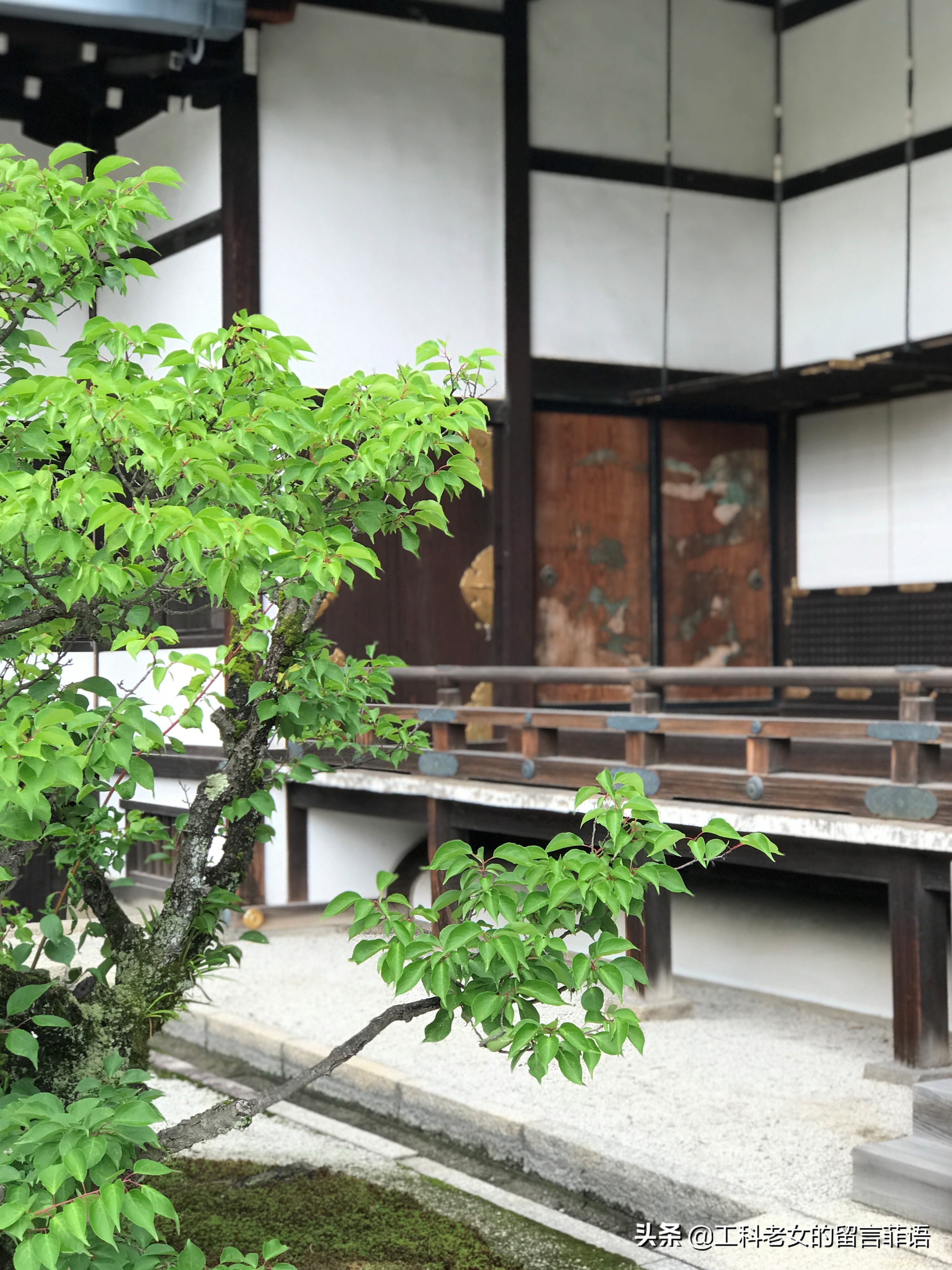 京都御所风格,京都皇宫御所