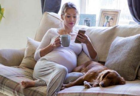 孩子免疫力差总是生病怎么办,孩子免疫力下降吃点什么好