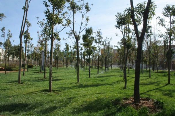 昆明美食地图,昆明美食攻略十大必吃排行榜