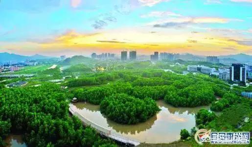 惠州惠阳淡水大亚湾最新房价,惠阳跟惠城哪个发展前景大