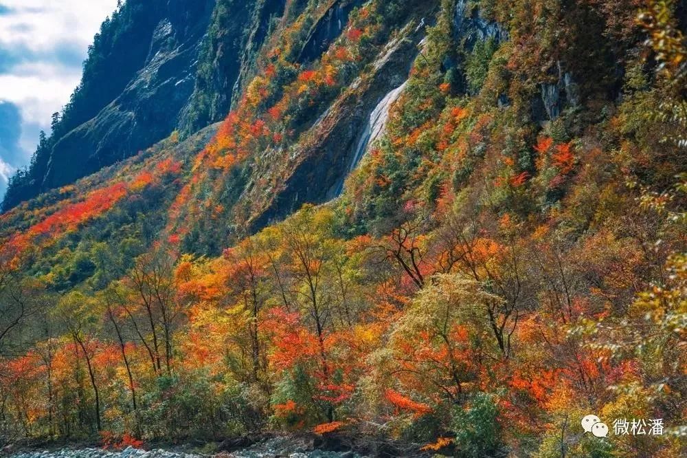 松潘之秋，品一场醇美的色彩盛宴