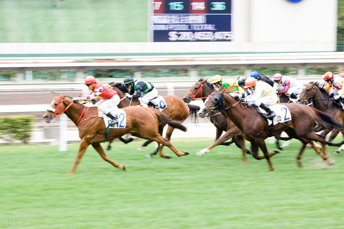 澳门叠码仔香港驯马师，靠豪门致富的那些人，他们的故事也很精彩