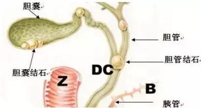 苏州各大医院的普外科,苏州科技城医院特色科室