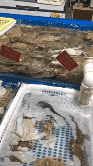 现在年轻人不会买菜做饭,现在的年轻人不会买菜