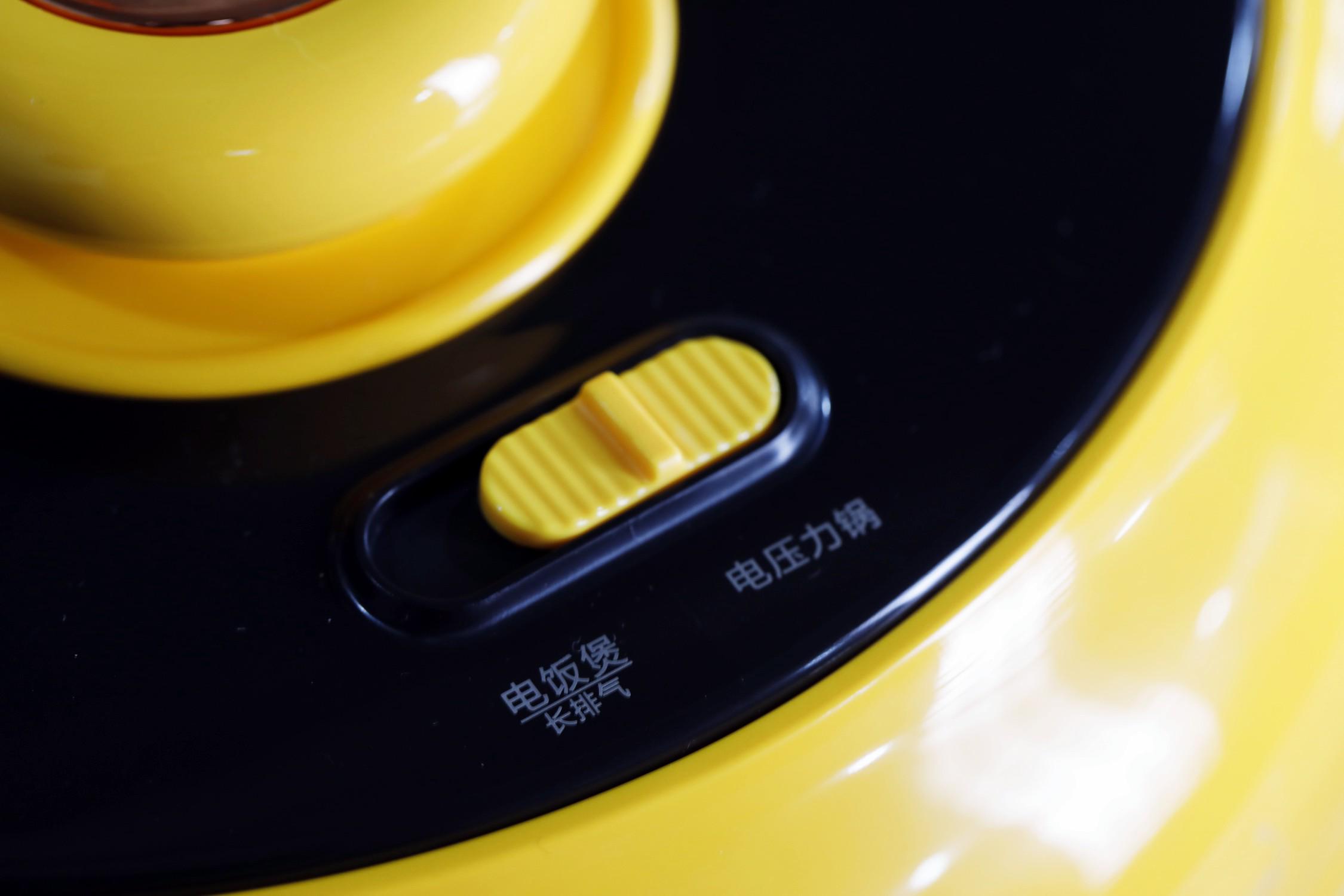 蒸煮两用电压力锅哪个牌子好,家用压力锅和微压锅哪个好