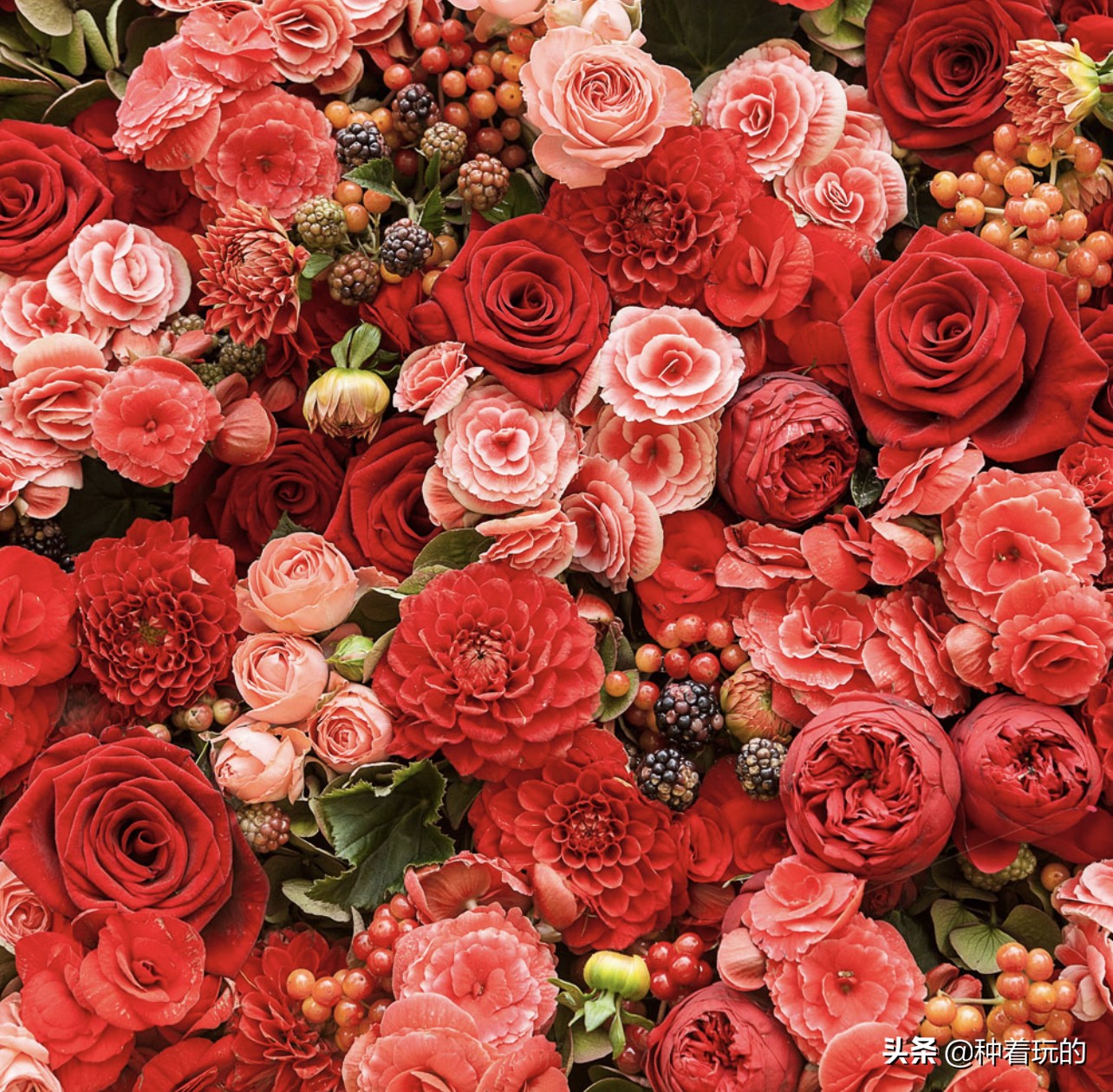 七夕礼物送什么好,七夕礼物送什么推荐