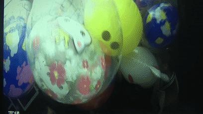 一开门就爆炸,一打开手机消息都炸了