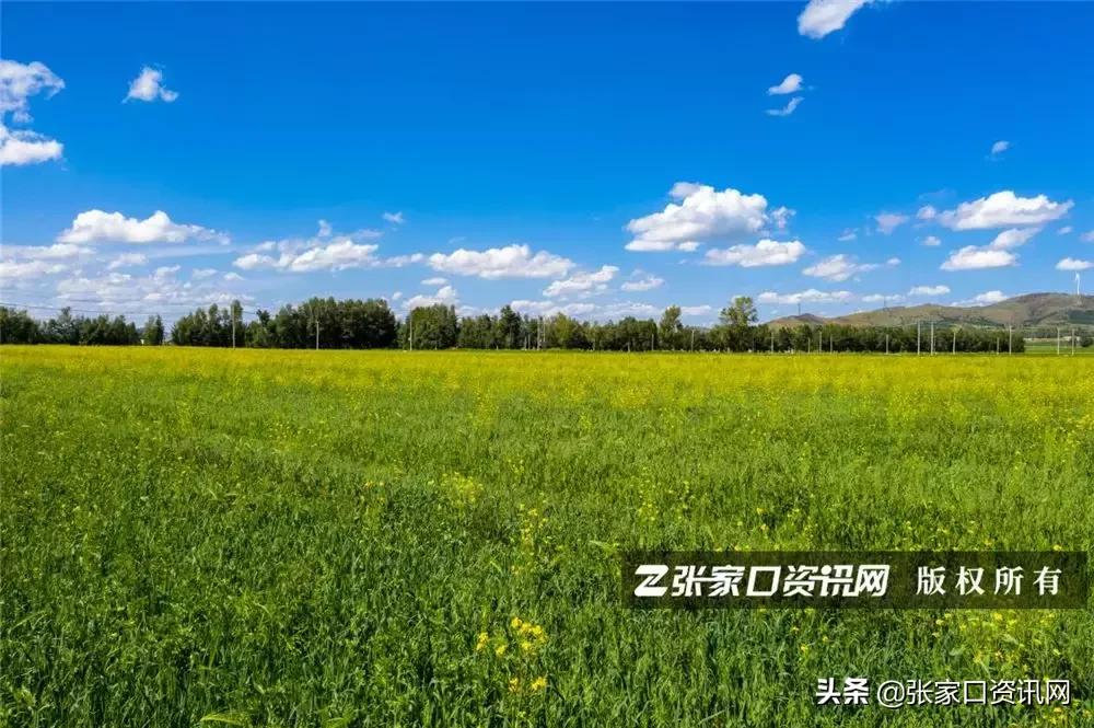 张家口草原天路美景如画,张家口一路风景