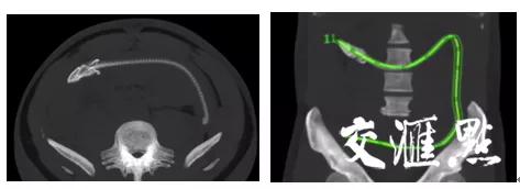 男子探险意外发现洞穴奇异生物,男子潜水意外发现7米长巨蛇
