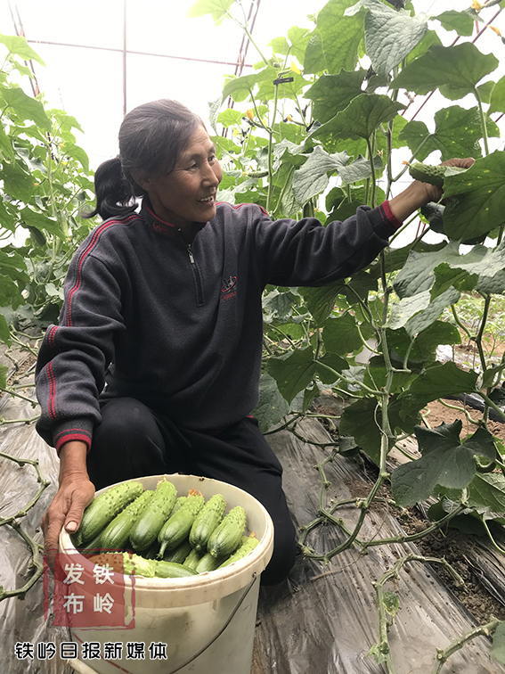 农村李秋香,李秋香