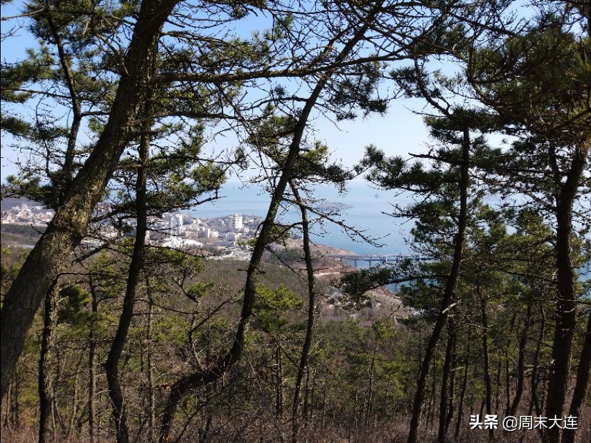 大连莲花山风景区,大连莲花山和森林公园