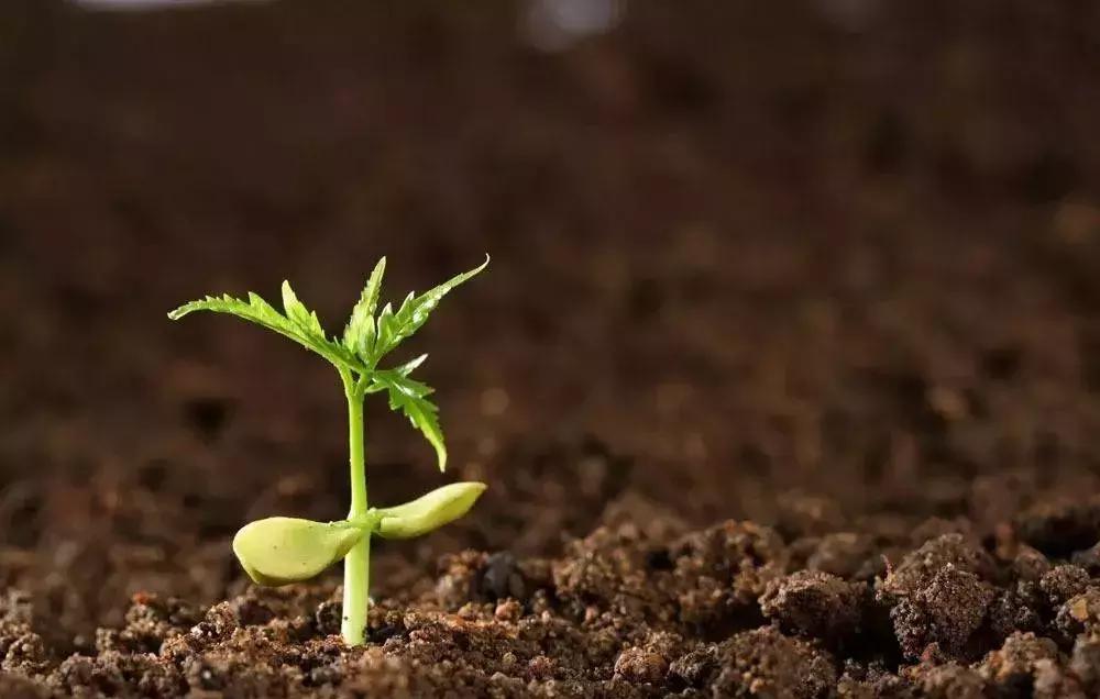 李全喜简介图文,李全喜书法作品欣赏