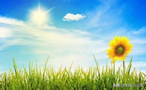 英语10分的学渣怎么逆袭,英语学渣逆袭成学霸的方法