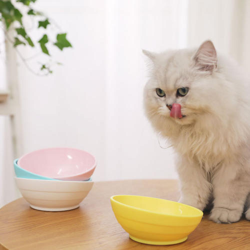 为什么猫吃了异烟肼没事,毒猫粮对猫有什么危害