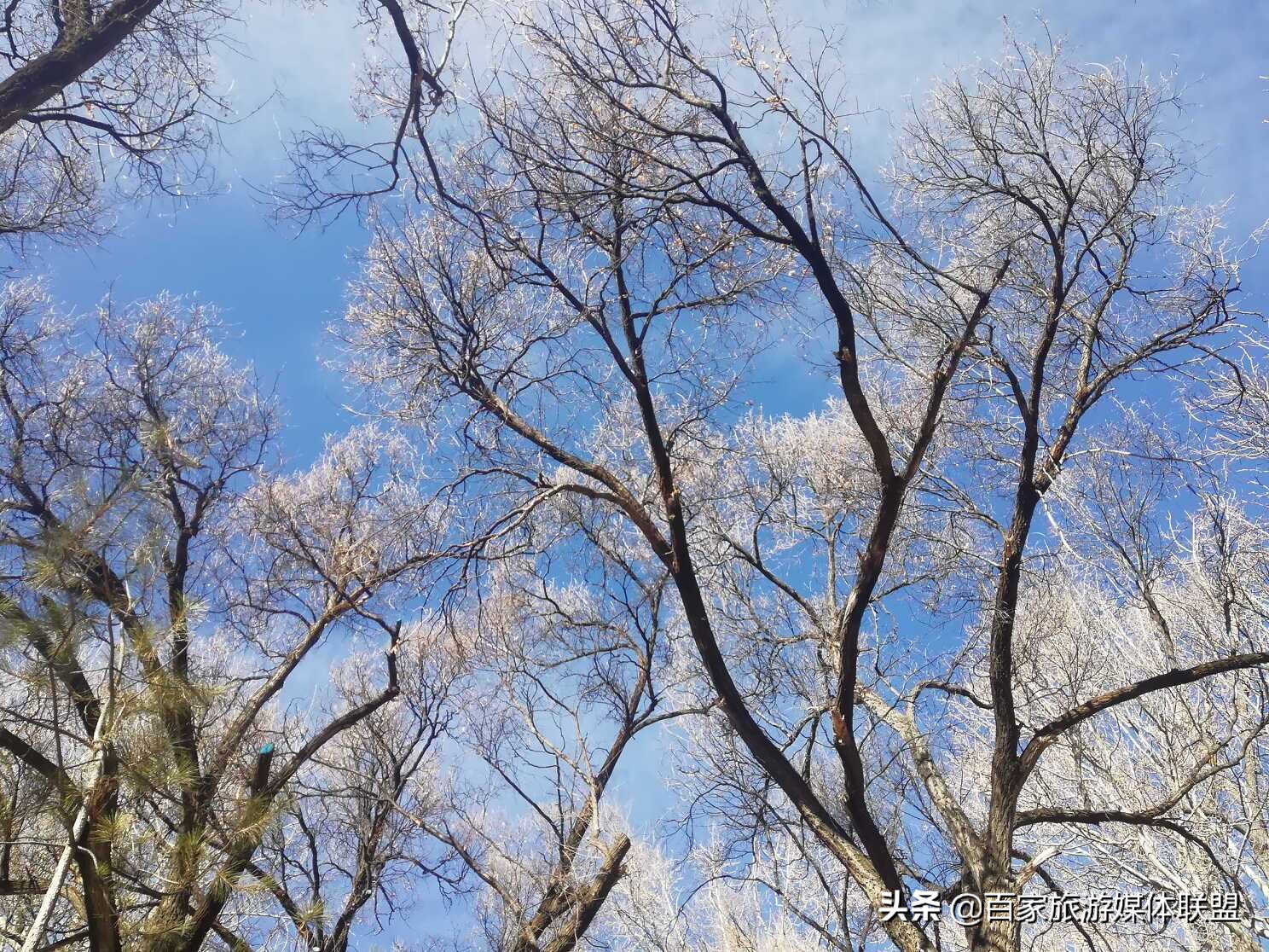 布达拉宫和罗布林卡的区别,罗布林卡和大昭寺