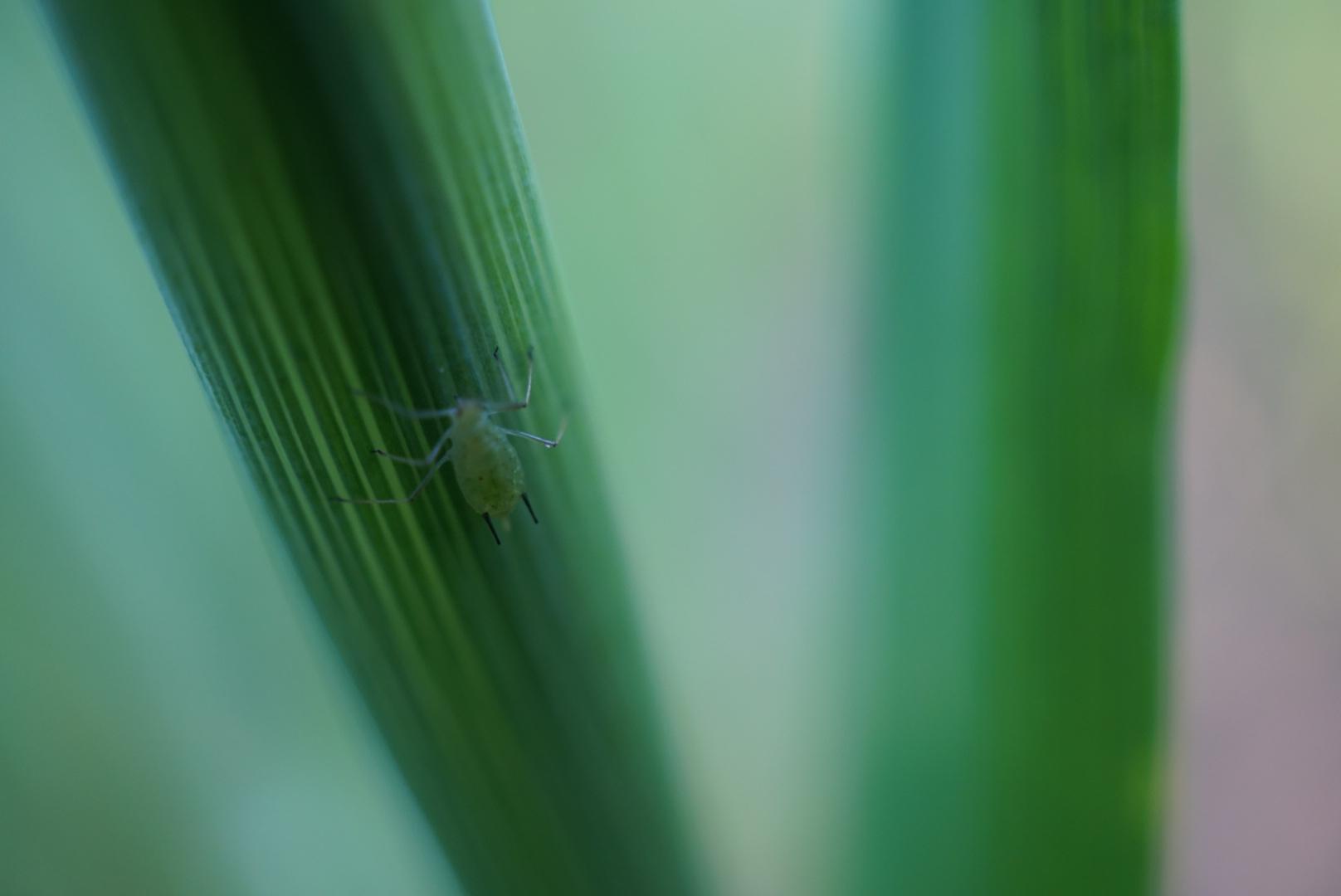 万里长江第一楼黄鹤楼,天下江山第一楼黄鹤楼