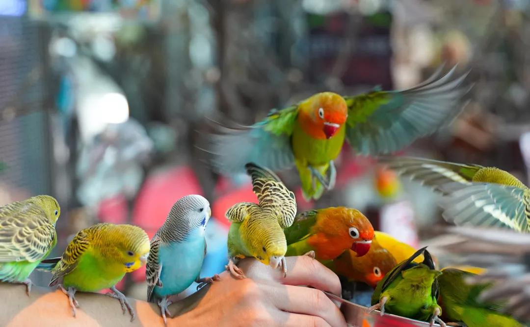 聊城滑雪场地推荐,聊城哪里有滑雪场地