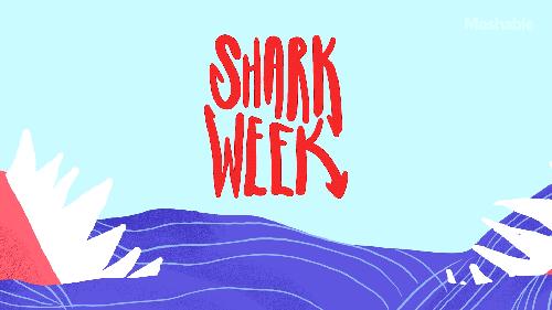 说不得的月经羞耻，我今天偏要说