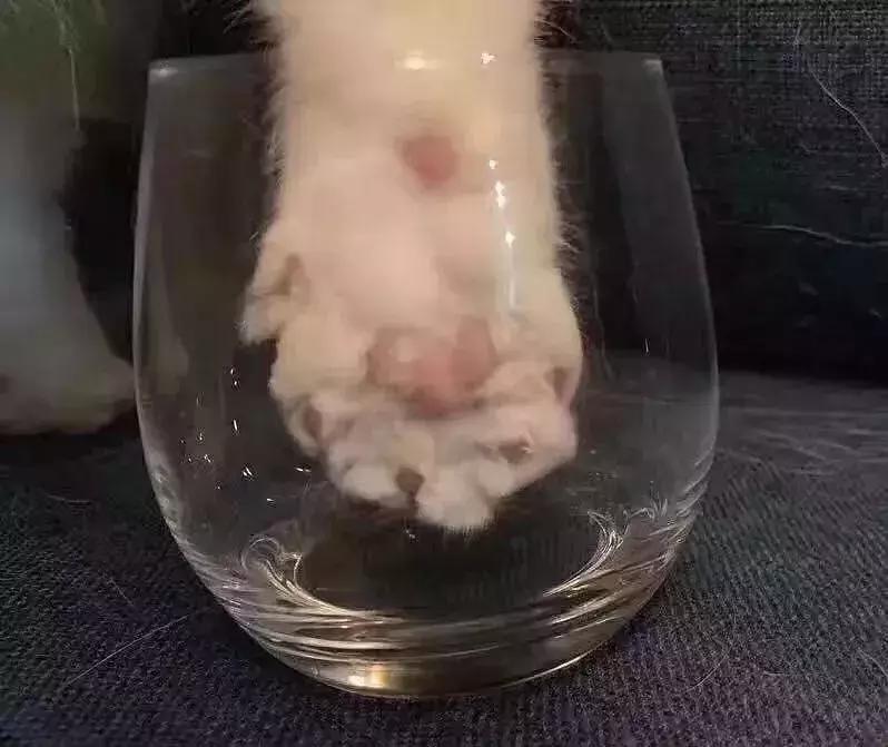 我在凌晨四点，为了199的杯子和人大打出手