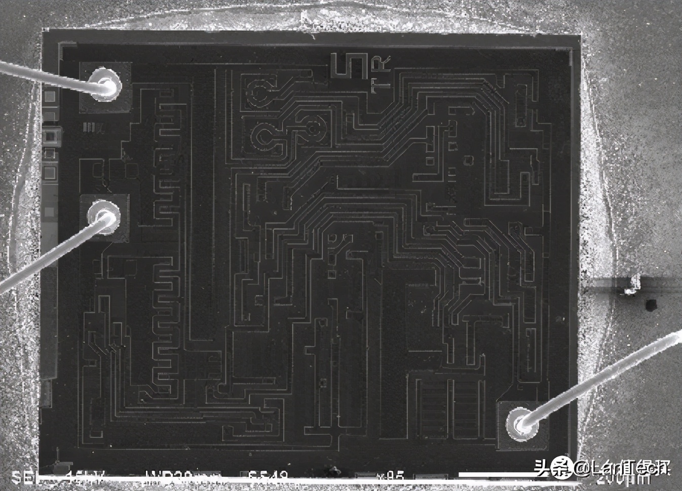 看芯片内部用什么显微镜,芯片在显微镜下的样子