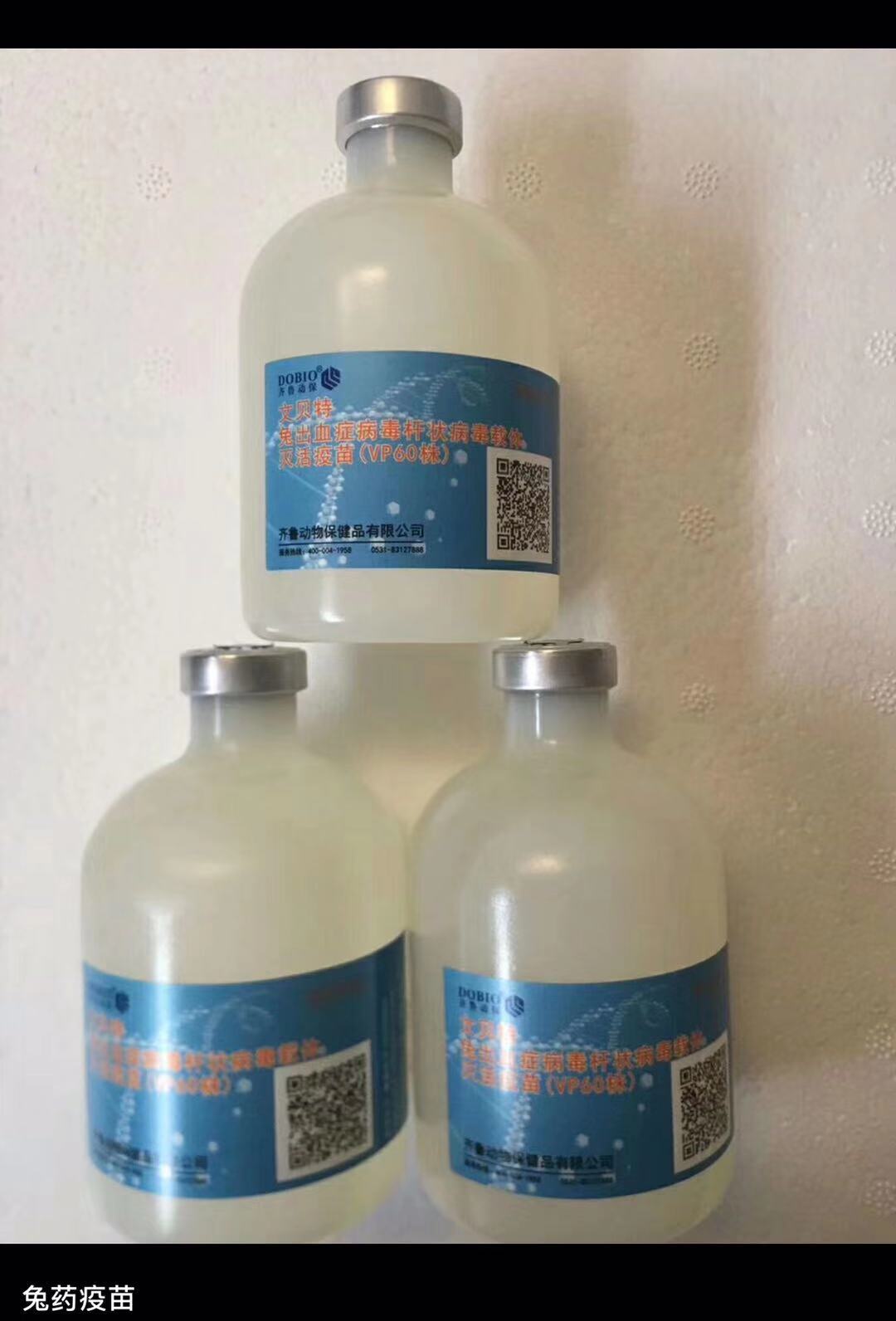 养兔必备药,新手养兔兔需要准备的药品