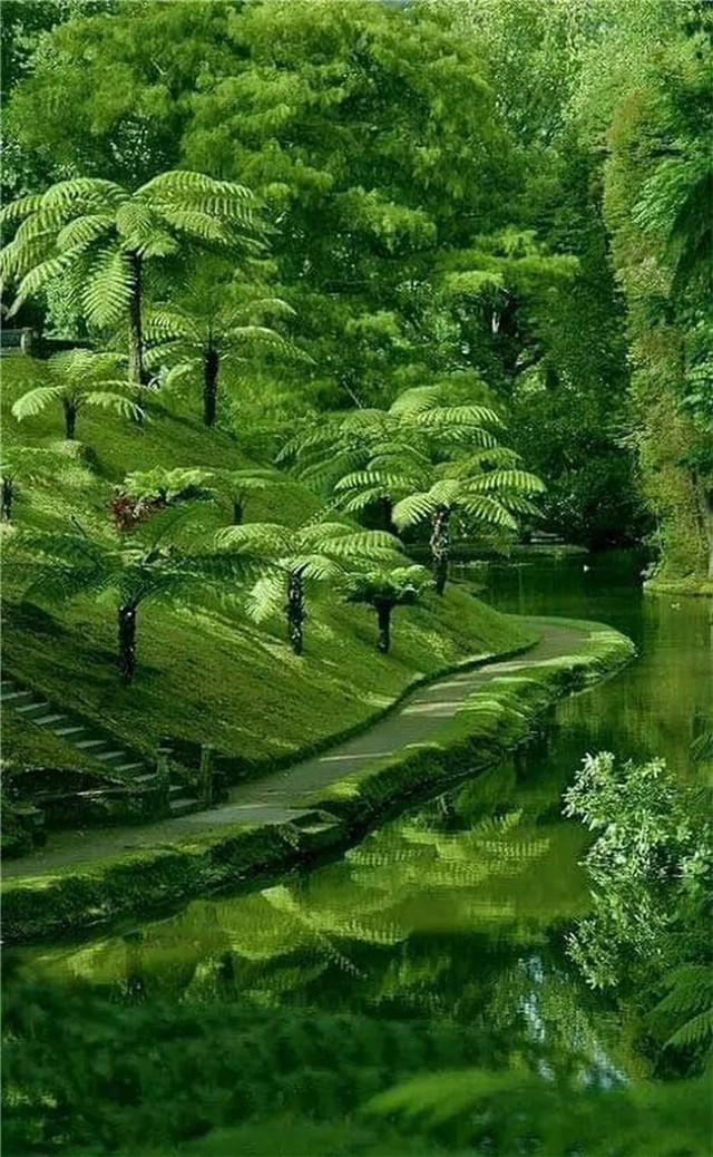 缓解眼睛疲劳动态图壁纸,好看的手机壁纸护眼高清图文