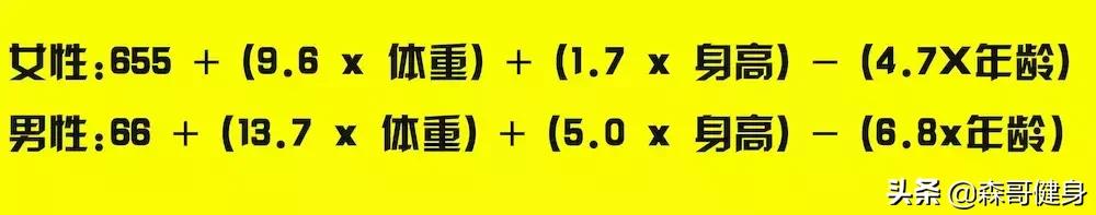 森哥减肥健身视频,森哥教你减肥