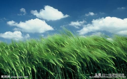 知识点第5单元,知识点归纳语文6年级