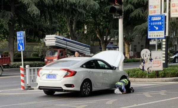 猫总是钻入汽车发动机舱如何处理,如何防止小猫钻进发动机舱