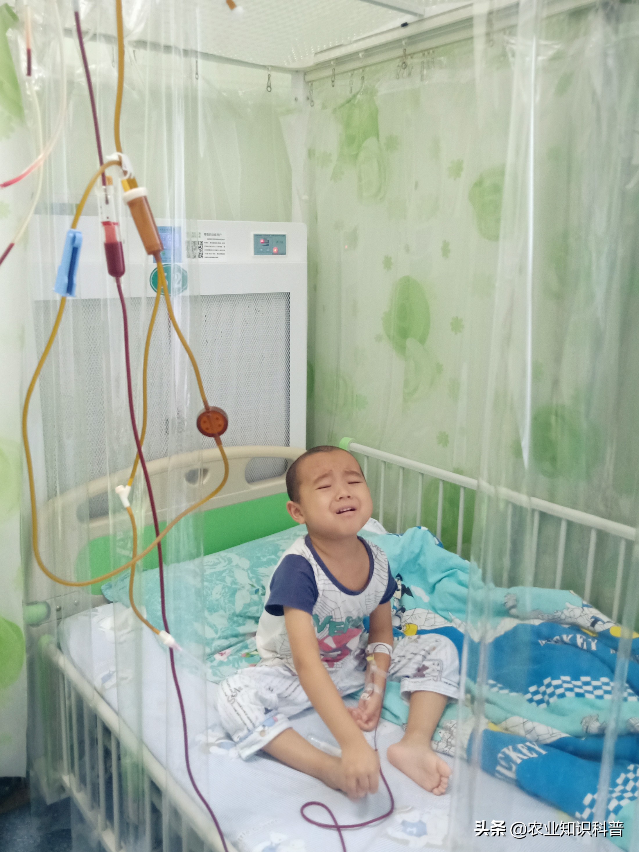 5岁男童反复高烧39.3度怎么办,5岁男孩反复高烧不退咳嗽