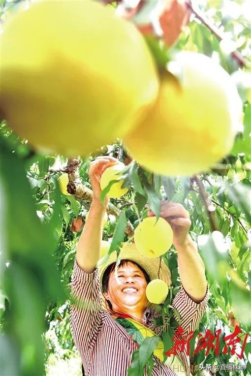 湖南日报最新新闻报道,湖南日报视频